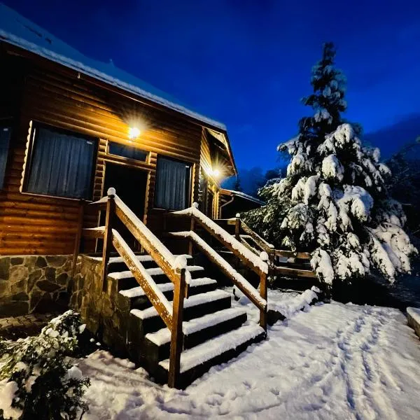 Pensiunea Ioana，位于博尔沙的酒店