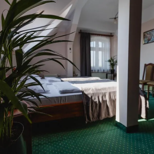 Hotel Aslan，位于塔尔诺夫斯凯古雷的酒店