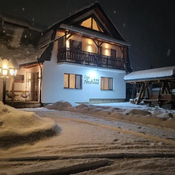 Casa Andreea，位于瓦特拉多尔内的酒店
