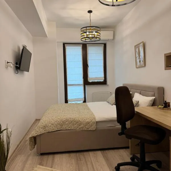 Studio Luxury Center，位于雅西的酒店