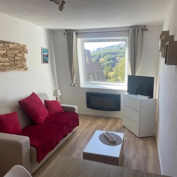 Studio La Foux d'Allos les Etoiles，位于阿洛斯的酒店
