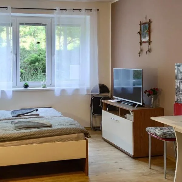 Apartmán Nela，位于伏尔塔瓦河畔利普诺的酒店