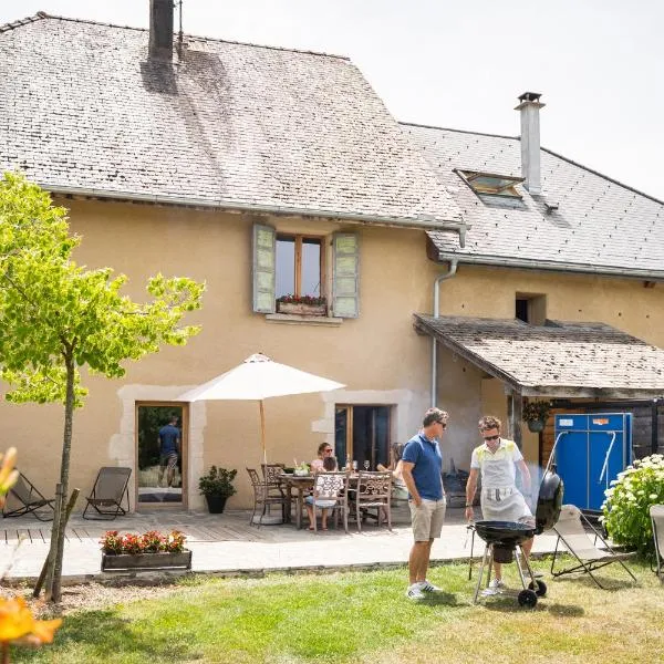 La Grange de Capucine, gite de caractère，位于Chainaz-les-Frasses的酒店