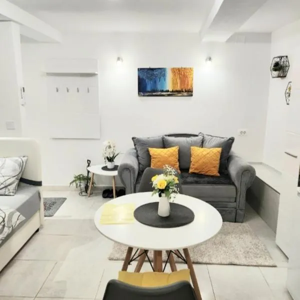 Apartment Marina，位于科托尔的酒店