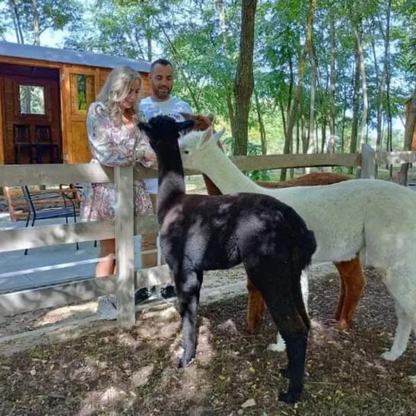 Alpacacamp，位于Helvécia的酒店