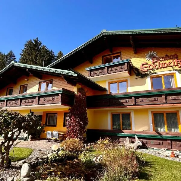 Pension Edelweiß Mitterberg，位于Mitterberg的酒店
