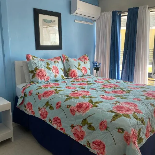 The Island Garden Hotel，位于拿骚的酒店