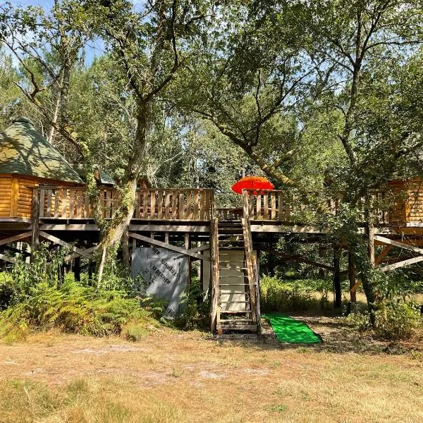 Les cabanes PALOMBIERE，位于Allons的酒店