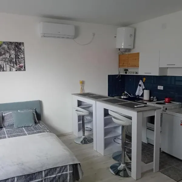 AlejaPark，位于Železnicka Stanica Inđija Selo的酒店