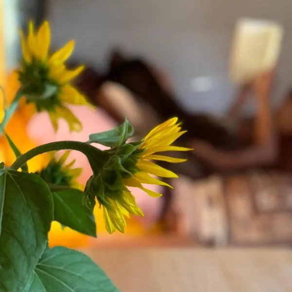 The Village Eco Stay Byron Bay，位于拜伦湾的酒店