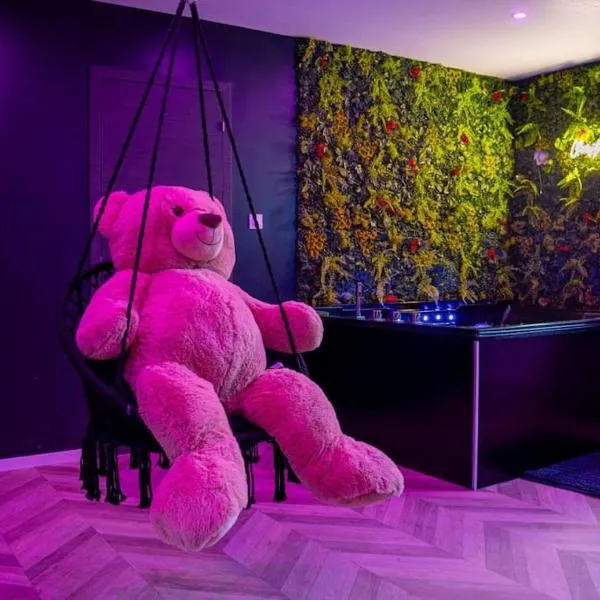 La VíOLA-ROOM Jacuzzi Netflix Balançoire Terrasse，位于维厄勒斯的酒店