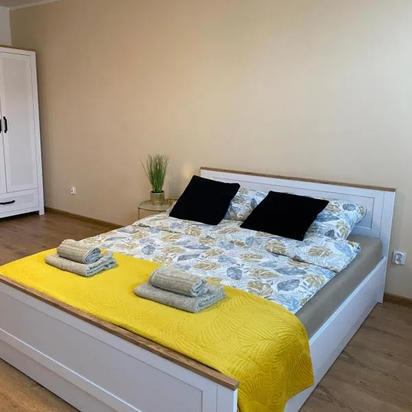 City Lights Apartment，位于巴尔利内克的酒店