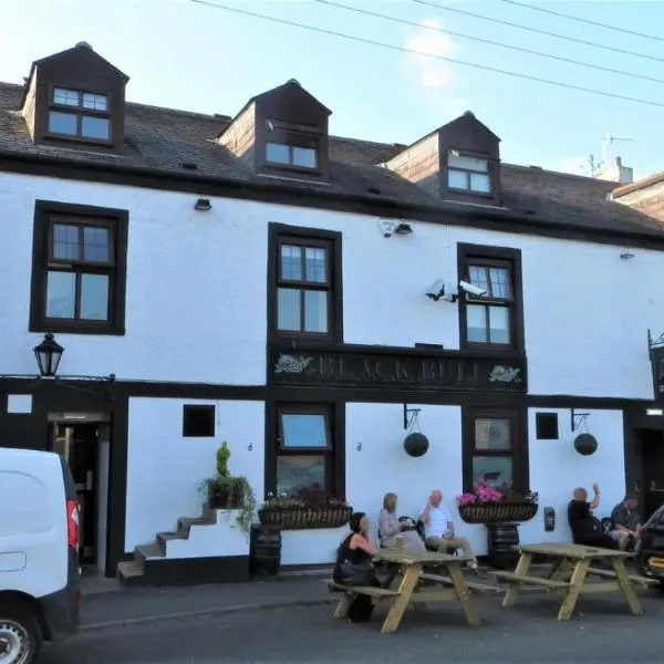 Black Bull，位于Wylam的酒店