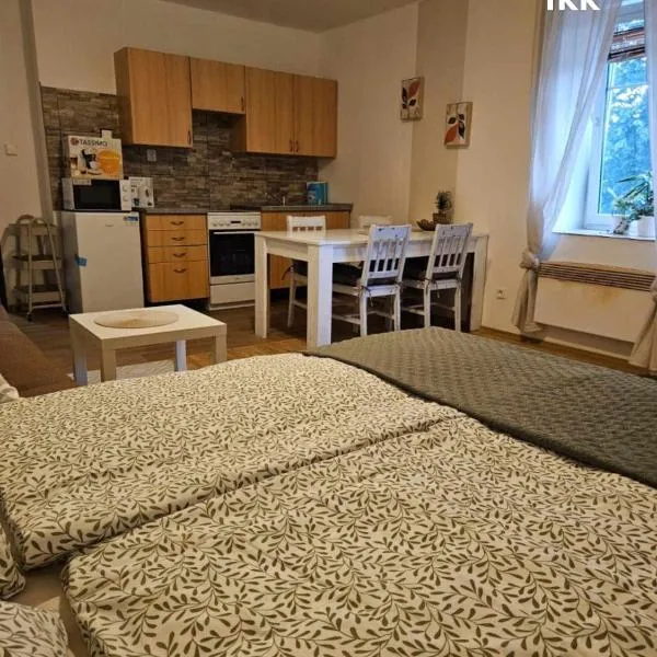 Ubytování v soukromí，位于Choustníkovo Hradiště的酒店