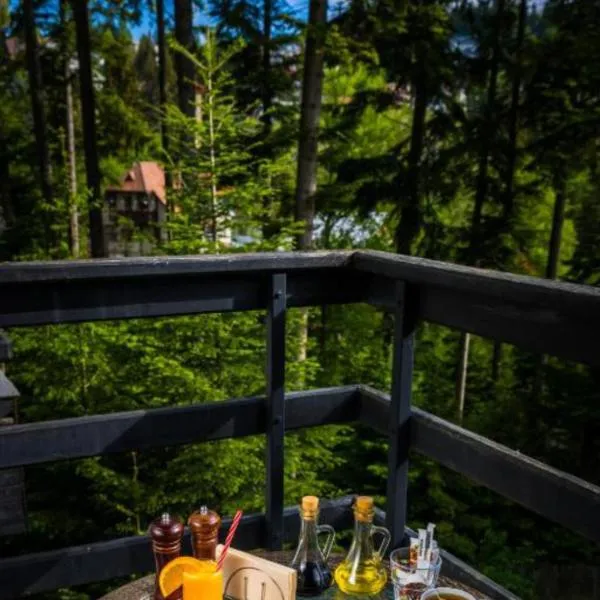 Maria Apartament，位于锡纳亚的酒店