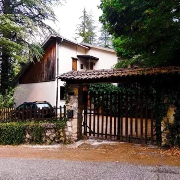 La Stella Alpina，位于塔利亚科佐的酒店