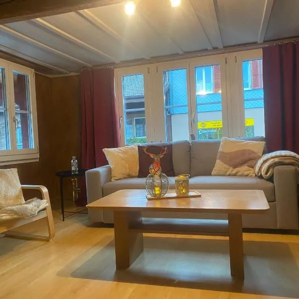 Cosy apartment in heritage protected swiss chalet，位于Matten的酒店