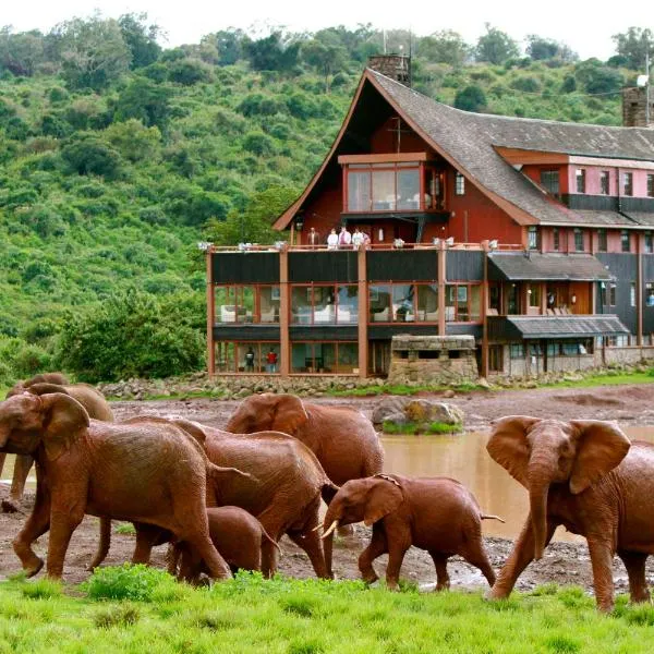 方舟山林小屋，位于Mweiga的酒店