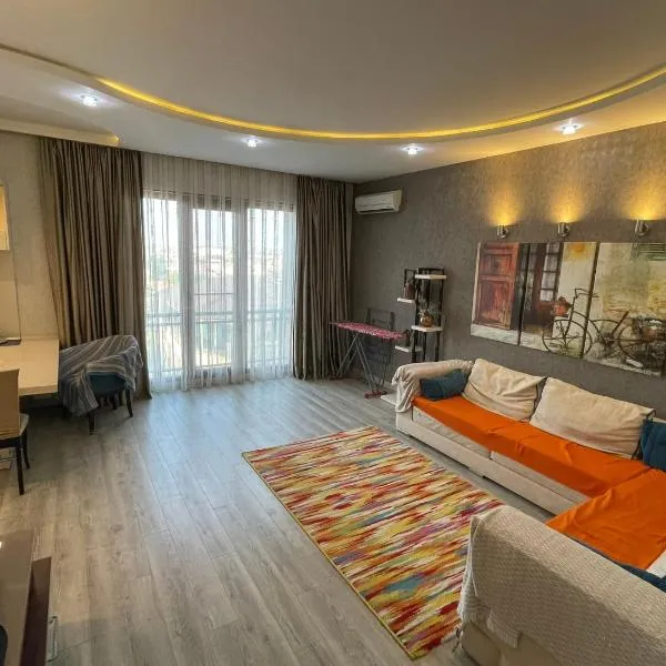 Aviators apartment，位于巴库的酒店