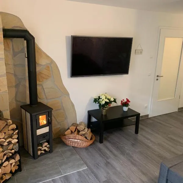 Ferienwohnung im grünen-auf dem Land，位于Dittersdorf的酒店