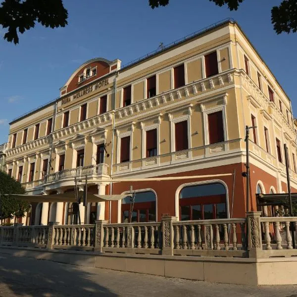 Duna Wellness Hotel，位于包姚的酒店