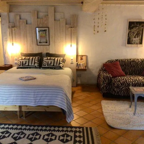 La grotte du pèlerin - Appartement semi-troglodyte，位于桑特的酒店