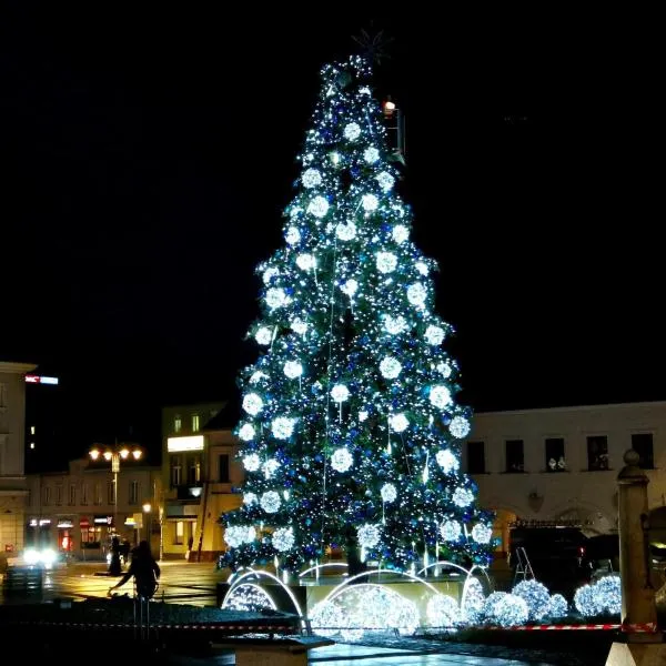 Paris Rynek Centrum &Parking，位于凯尔采的酒店