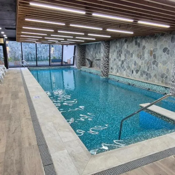 Hotel Diego de Almagro La Serena Express，位于拉塞雷纳的酒店