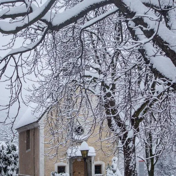 萨肯可雷梅酒店，位于福尔泰扎的酒店