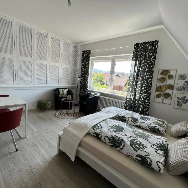Marktplatzapartment，位于赫克斯特的酒店