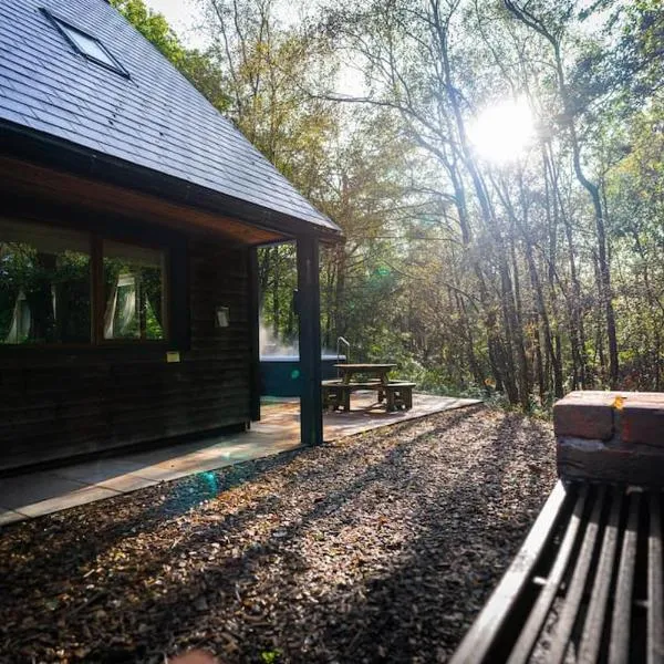 Denstone, woodland lodge with hot tub for 8，位于Oakamoor的酒店