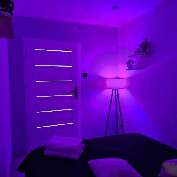Apartament z jacuzzi w centrum Katowic，位于卡托维兹的酒店