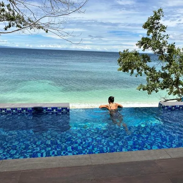 The French Villa-Santander Cebu，位于桑坦德的酒店