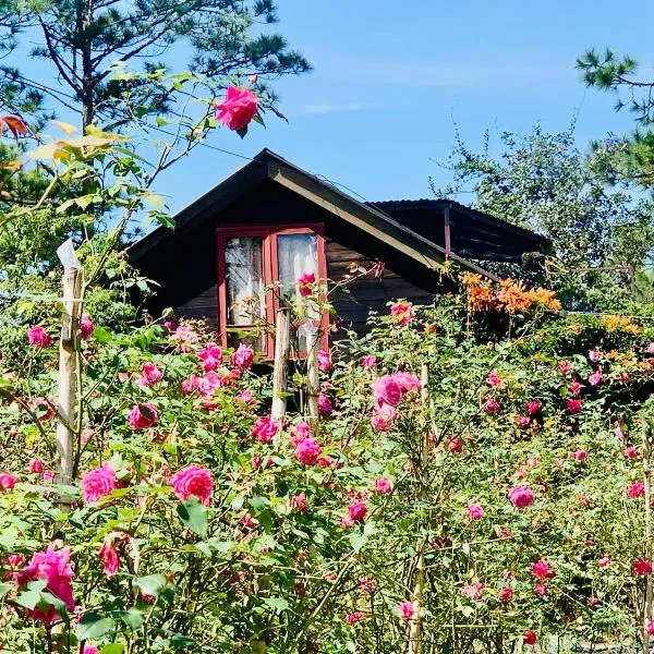 Romantic house 2 on a pine hill Dalat，位于大叻的酒店