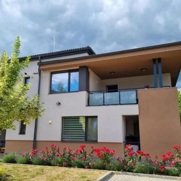 Lotus Apartman III，位于奥多尔黑塞库耶斯克的酒店