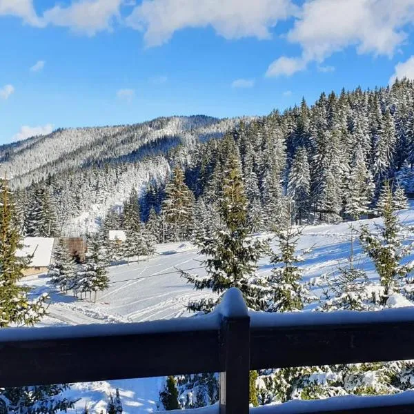 Vlašićka ruža Eko FIS 303，位于弗拉西克的酒店