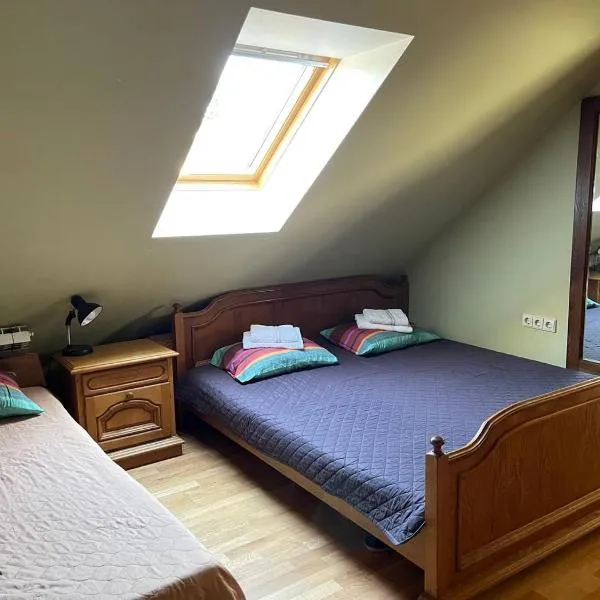 Gallery Guest Rooms，位于Kernavė的酒店