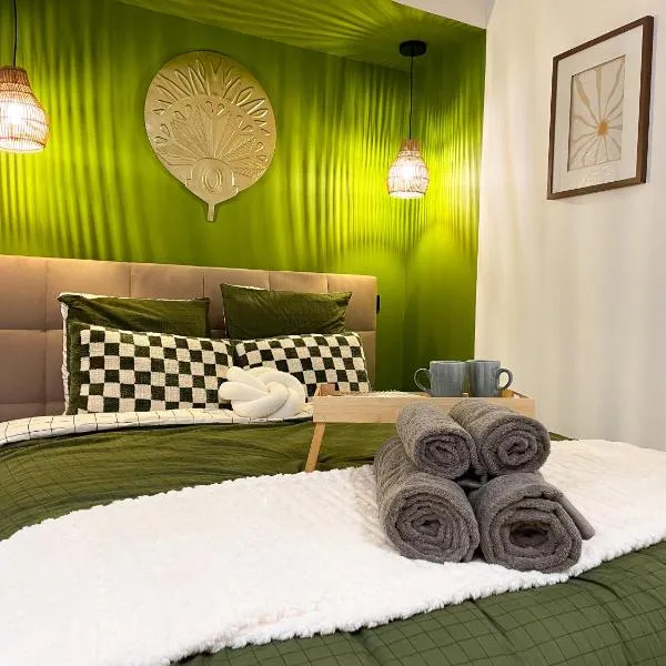 Suite Émeraude centre ville，位于塞莱斯塔的酒店