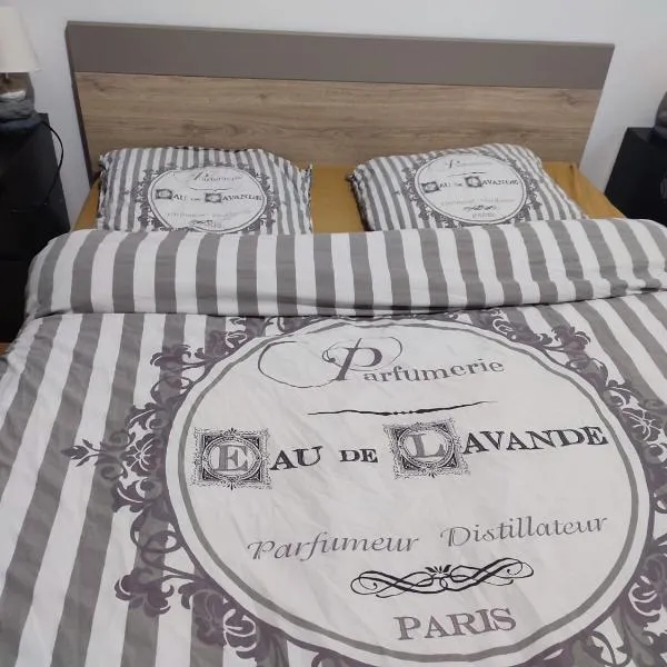 Grand Appartement chaleureux，位于Mirebeau-sur-Bèze的酒店