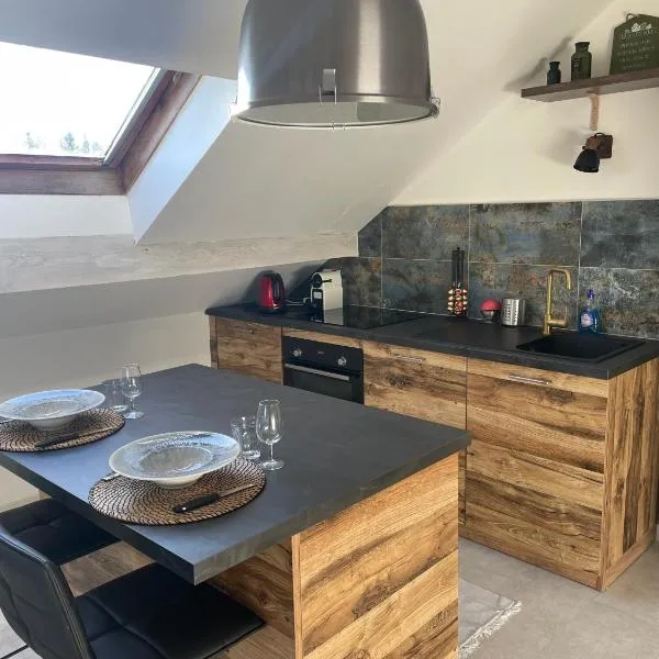 Appartement avec garage privé，位于Saint-Laurent-en-Grandvaux的酒店