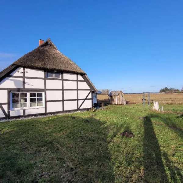Urlaub unterm Reetdach auf dem Darß，位于富伦多夫的酒店
