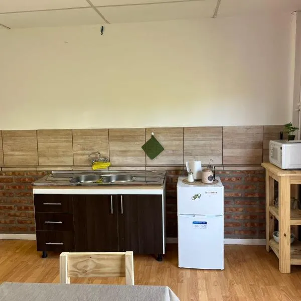 Ñireco 1，位于乔斯马拉尔的酒店