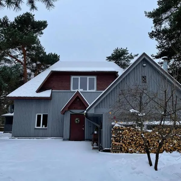 Piejūras māja skandināvu stilā! Seaside scandi house!，位于拉普梅茲采姆斯的酒店