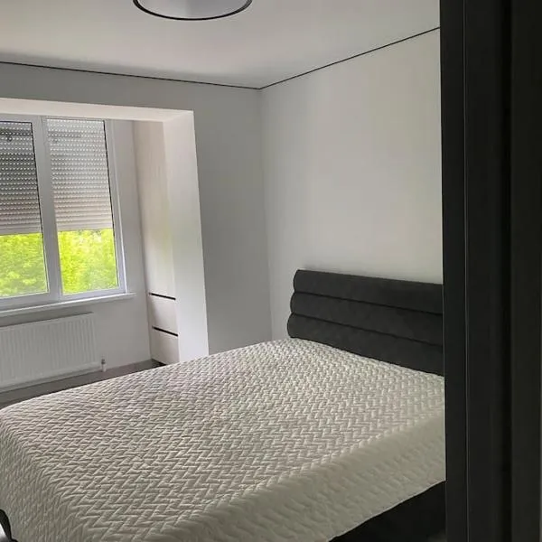 Chirie apartament，位于Căuşeni的酒店