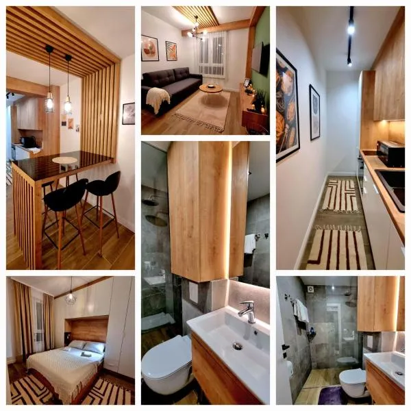 Tamara apartman Jahorina，位于亚霍里纳的酒店