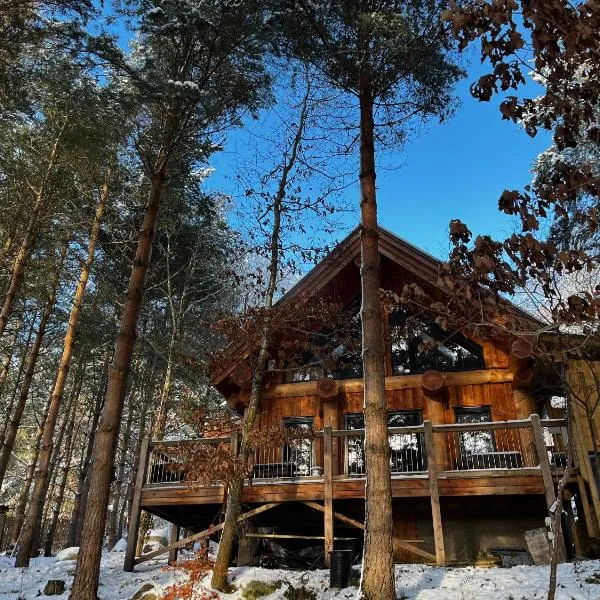 Pine Marten Lodge，位于斯佩河畔格兰敦的酒店