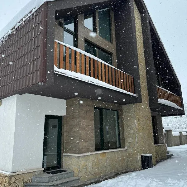 Mount Cottages Bakuriani，位于巴库里阿尼的酒店