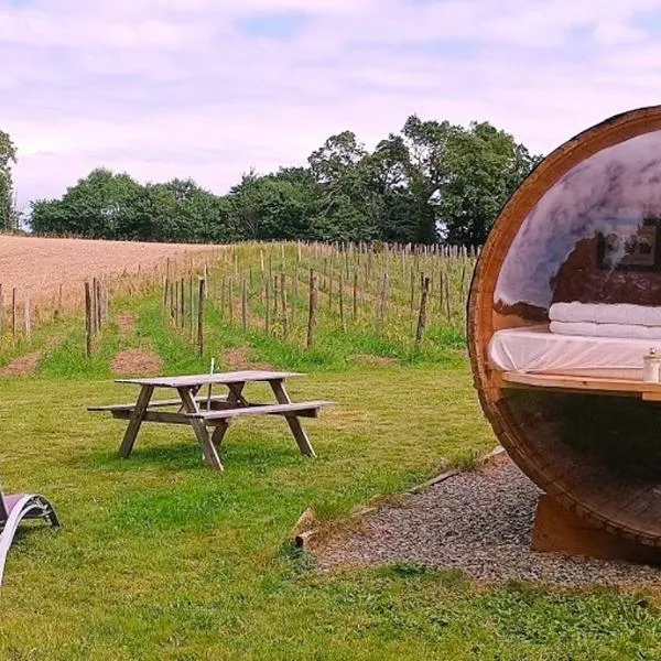 Tonneau bulle insolite, vue sur vignoble，位于Pouldergat的酒店