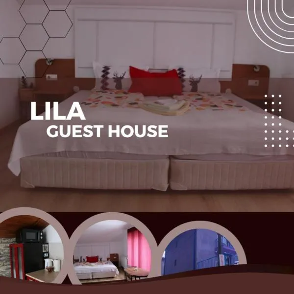 Guest House Lila，位于班斯科的酒店