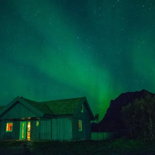 See Lofoten mountains midnight sun and nothern lights in Steigen，位于Steigen的酒店